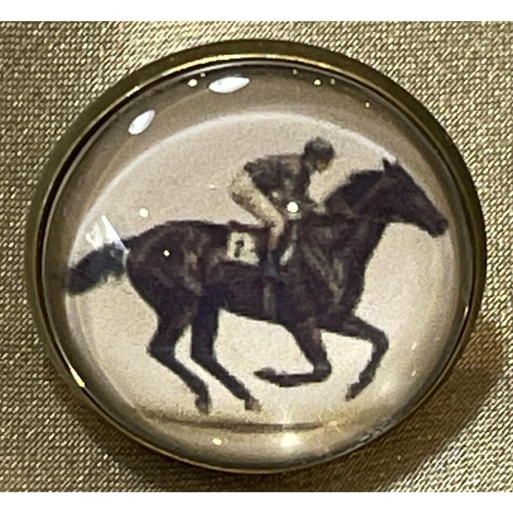 NWOT Horse Racing Jockey Rider Lapel Pin Brooch Brown Dome Cabochon Triple Crown